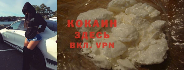 стафф Арсеньев