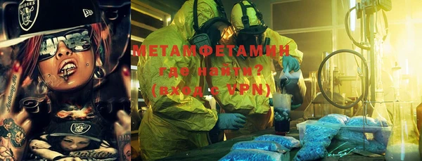шишки Аркадак