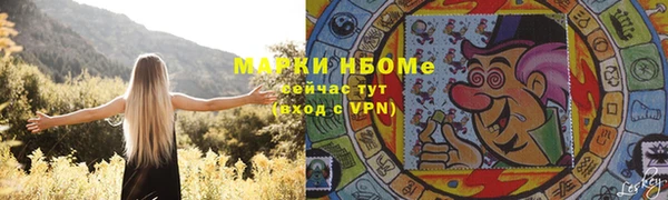 стафф Арсеньев